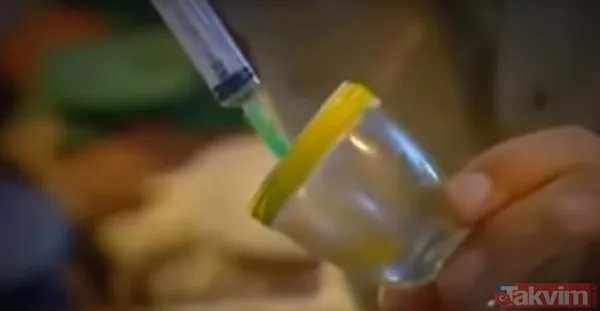 Sadece tek bir damlası kanı hale getirmeye yetti! 55 milyonluk yılan deneyi tehlikenin kanıtı - 21