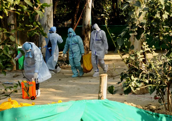 koronavirus-mutasyona-ugramis-koronavirus-derken-simdi-de-kus-gribi-japonyada-58-milyon-kumes-hayvani-itlaf-edildi-1610958282974.jpg Koronavirüs ve mutasyona uğramış koronavirüs derken şimdi de kuş gribi! Japonya'da 5.8 milyon kümes hayvanı itlaf edildi-2