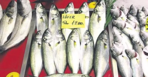 Lüfer kilosu bin 200 liradan tezgahta yerini aldı!