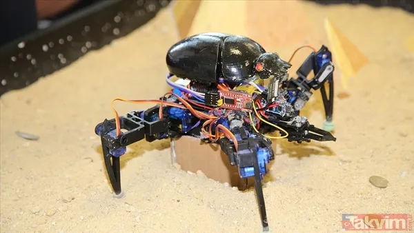 Özel Ödüller: Jüri Özel Ödülü: 15.000 Tl (Danışman: 5.000 Tl) En İyi Tasarım Ödülü: 15.000 Tl (Danışman: 5.000 Tl) Fair Play Ödülü: 15.000 Tl (Danışman: 5.000...