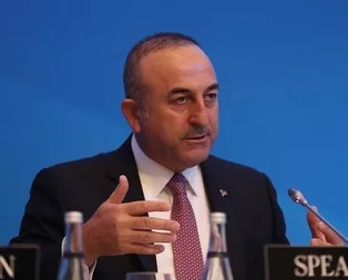 Bakan Çavuşoğlu Ermeni vekile haddini bildirdi