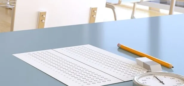 LGS tercih sonucu sonrası hangi liseye gideceğim?-5