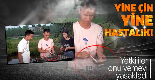 Yine Çin yine bulaşıcı hastalık! Yetkililer onu yemeyi yasakladı! Hıyarcıklı (Bubonik) veba nedir?