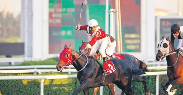 Ebru Gündeş, Reza Zarrab'ın hediye ettiği atını gizlice sattı