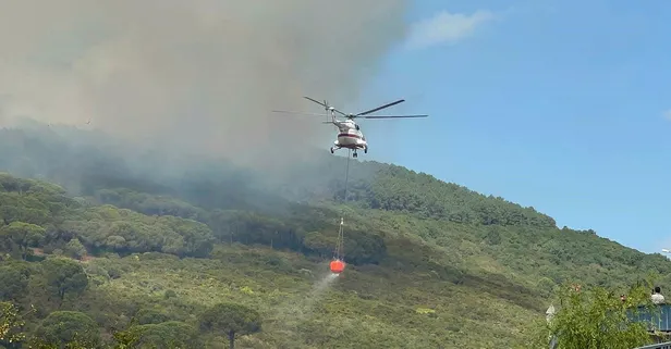 Maltepe Başıbüyük Ormanı'ndaki yangın söndürüldü!