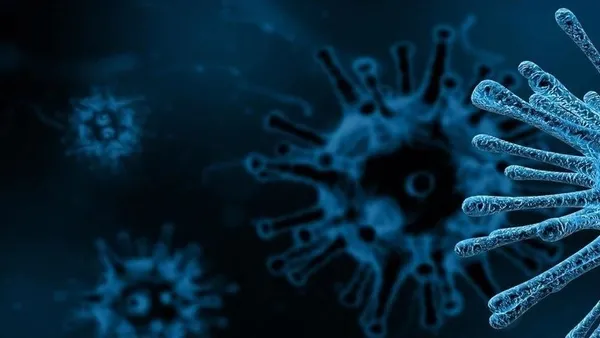 son-dakika-mutasyona-ugrayan-koronavirus-ingiltereden-sonra-dort-avrupa-ulkesinde-daha-goruldu-1608477172381.jpg Son dakika: Mutasyona uğrayan koronavirüs, İngiltere'den sonra dört Avrupa ülkesinde daha görüldü-5