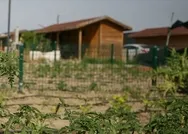 Metrekare başına 100 lira ceza! Kiralayana da verilecek