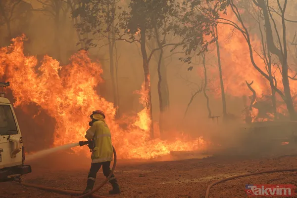 SON DAKİKA: Avustralya'da yangın faciası! 71 ev kül oldu - 21