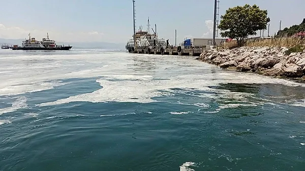 Türkiye, Marmara'yı saran müsilaja karşı düğmeye bastı! Vatandaşlar ise beyaz tehlikeye aldırmadı-7