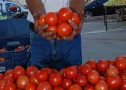 Üç kilosu bir liraya düştü