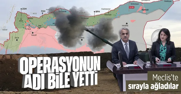 HDP'li Pervin Buldan ve Mithat Sancar'dan zincirleme skandal! TBMM'de PKK'nın sözcülüğüne soyundular