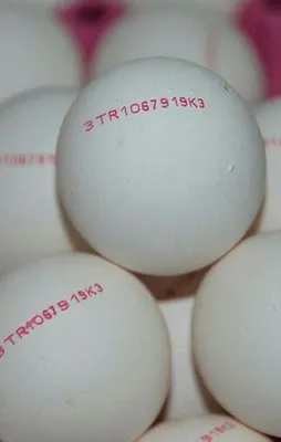 Yumurtanın kabuğunda o yoksa yapmanız gereken!