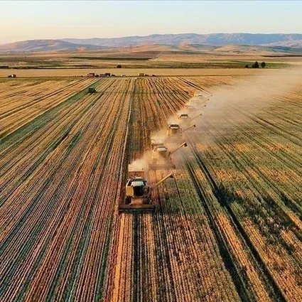 Tarımda dev destek paketi: IPARD III Programı ile kırsala 241 milyon euro yatırım