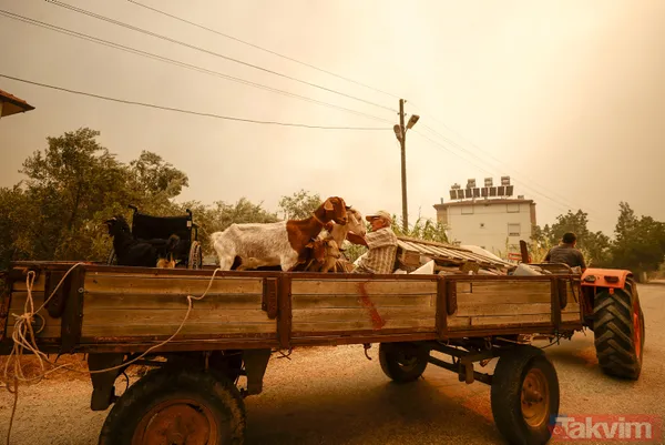 SON DAKİKA: Antalya Manavgat alevlere teslim oldu! İşte yürek yakan kareler - 27