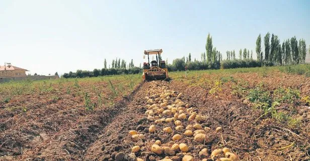 Tarım Kredi 2020’de çiftçiden 2,5 milyar liralık ürün alımı hedefliyor!