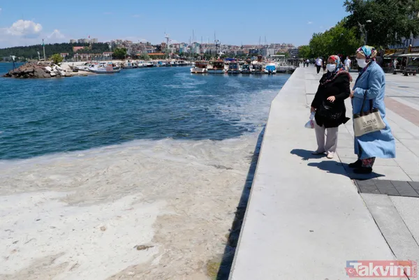 Müsilaj (deniz salyası) ticareti de etkiledi! Balık satışları durdu - 15