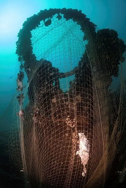 Hitler'in kayıp denizaltısı Sakarya'da görüntülendi: U20 'hayalet ağlar'a teslim-3