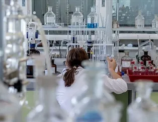 Birleşmeyle dünya devi doğdu