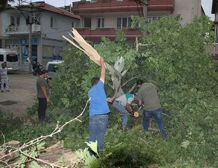 Fırtına 50 yılı hiç etti!