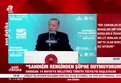 Başkan Erdoğan’dan profesöre yol dersi!