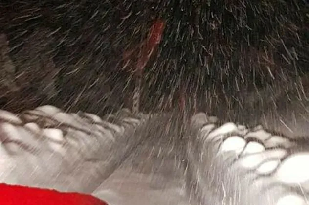 Son dakika: Adana Pozantı'da çığ felakati!