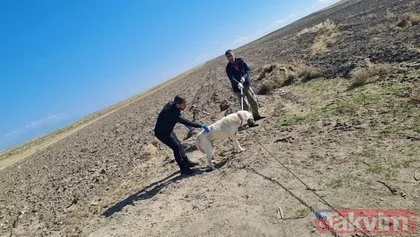 SON DAKİKA: Türkiye Bitlis Adilcevaz’da köpek tarafından ısırılan ve kuduz tespit edilen 10 yaşındaki Mustafa Erçetin’e üzülüyor! İşte son durumu