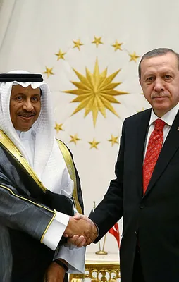 Erdoğan, Kuveyt Başbakanı Al Sabah'ı kabul etti