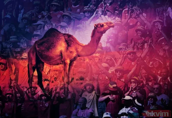 Dünya Sağlık Örgütü'nden deve gribi alarmı! FIFA 2022 Dünya Kupası'ndan yayılabilir! Peki deve gribi nedir? Nasıl önlem alınır? - 18