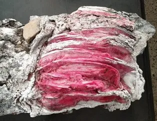 Yüzerken bulmuştu ne olduğu ortaya çıktı