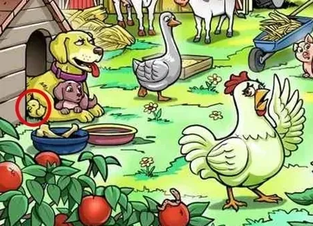 7-saniyede-tum-rakiplerinizi-ekarte-edin-ciftlikte-kaybolmus-civcivi-bulanlar-ustun-zekali-cikiyor-1706794358946.jpg Çiftlikte kaybolmuş civcivi bulanlar üstün zekalı çıkıyor! 7 saniyede tüm rakiplerinizi ekarte edin-4