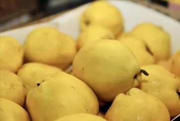 AYVA YIYIN GÜÇLENIN!