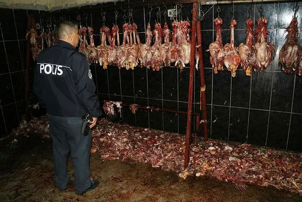 Görüntüler mide bulandırdı-1