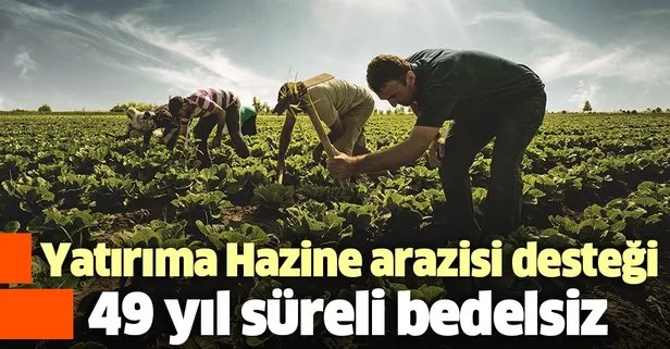 Yatırıma Hazine arazisi desteği