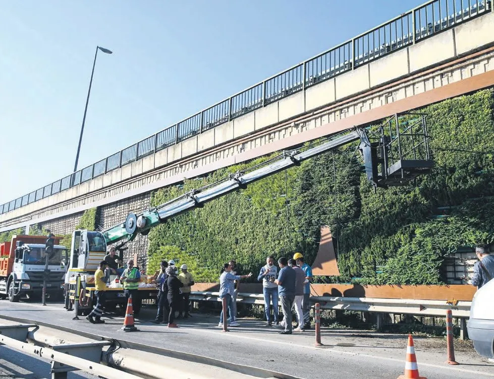 Yaşayan duvarlar reklam panosu oldu!