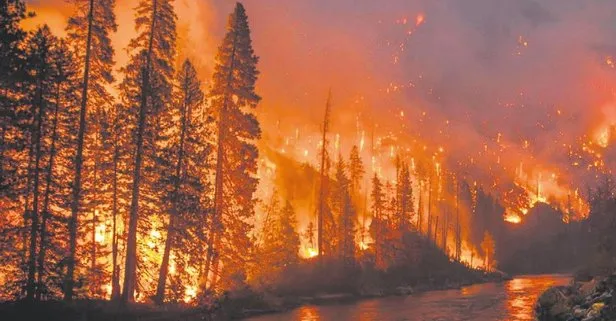 Amazon ormanlarındaki yangın söndürülmezse dünya yoklukla karşı karşıya!
