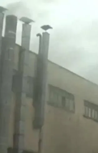 İstanbul'da yangın! Ekipler bölgeye sevk edildi