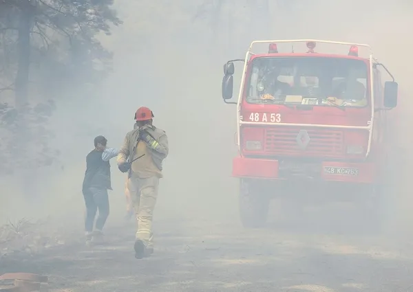 Muğla'da orman yangını-3