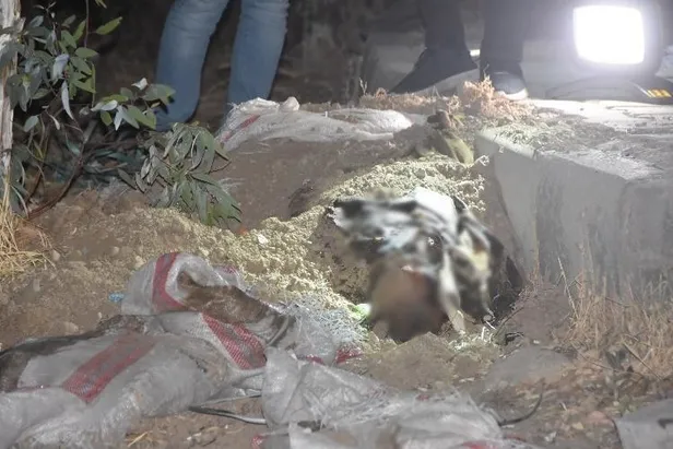 Bodrum’da kan donduran cinayet! Kum dolu çuvalın içinden ceset çıktı!-3