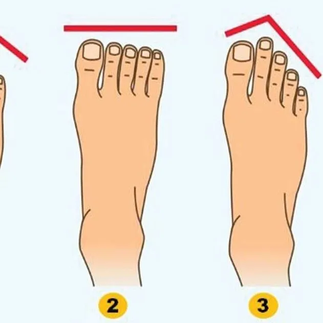 Wild Feminine - Telegram