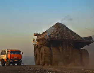 Şaşırtan gerçekler