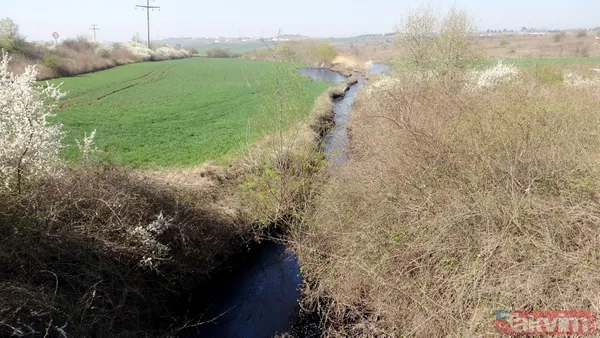Edirne'de çevre katliamı! Tonlarca fuel oil 30 dekar alana ve dere yatağına yayıldı - 18