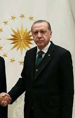 Cumhurbaşkanı Erdoğan, El Sani'yi kabul etti