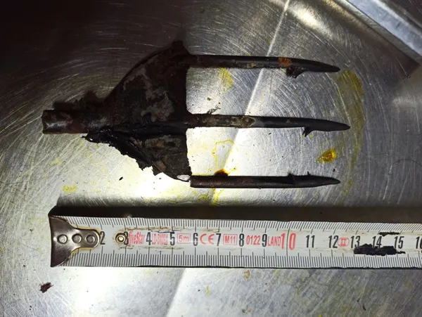 antalya-finikede-basindan-zipkinla-vurulmus-halde-bulunan-carette-caretta-tedavi-altina-alindi-1606127061350.jpg Antalya Finike'de başından zıpkınla vurulmuş halde bulunan carette caretta tedavi altına alındı-2