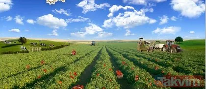 Türkiye tarımsal hasılada Avrupa lideri! İşte Türkiye’nin tarımsal atılımlarındaki en güncel veriler…