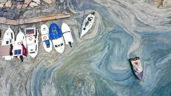 30-maddelik-musilaj-teklifi-bu-hafta-meclise-sunulacak-1652108051544.jpg 30 maddelik müsilaj teklifi bu hafta Meclis'e sunulacak-3