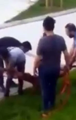 Sultangazi’de pitbull ısırdığı köpeği yediği dayağa rağmen bırakmadı