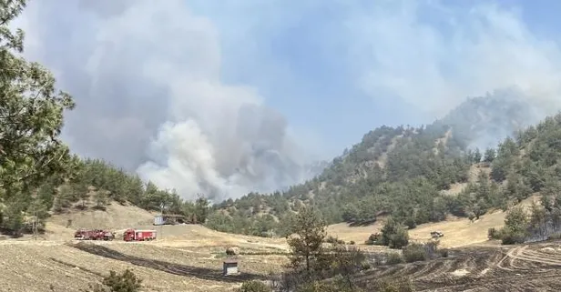 Kahramanmaraş'ın Onikişubat ilçesinde orman yangını