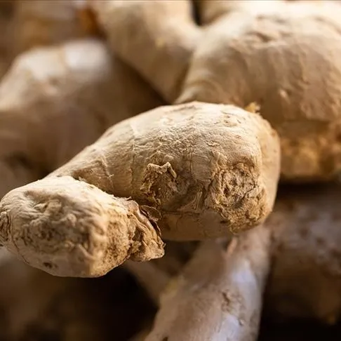 Zerdecal sarımsak toksinleri atsak