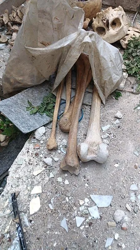 İzmir’de tüyler ürperten olay: Metruk binada 3 kafatası ve kemikler bulundu-2