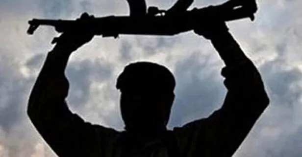 2 PKK/KCK'lı terörist teslim oldu